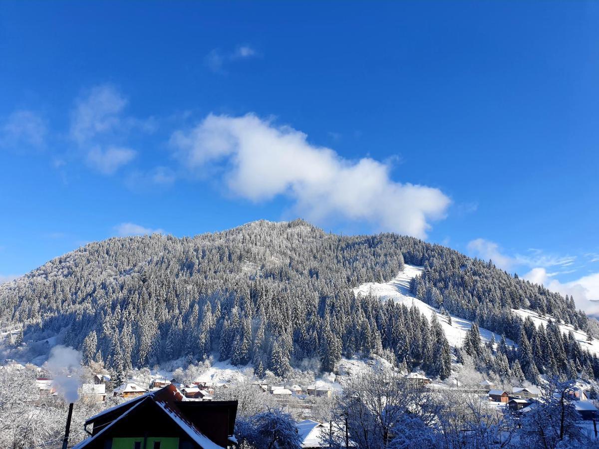 Vila Giulia วอยนาซา ภายนอก รูปภาพ
