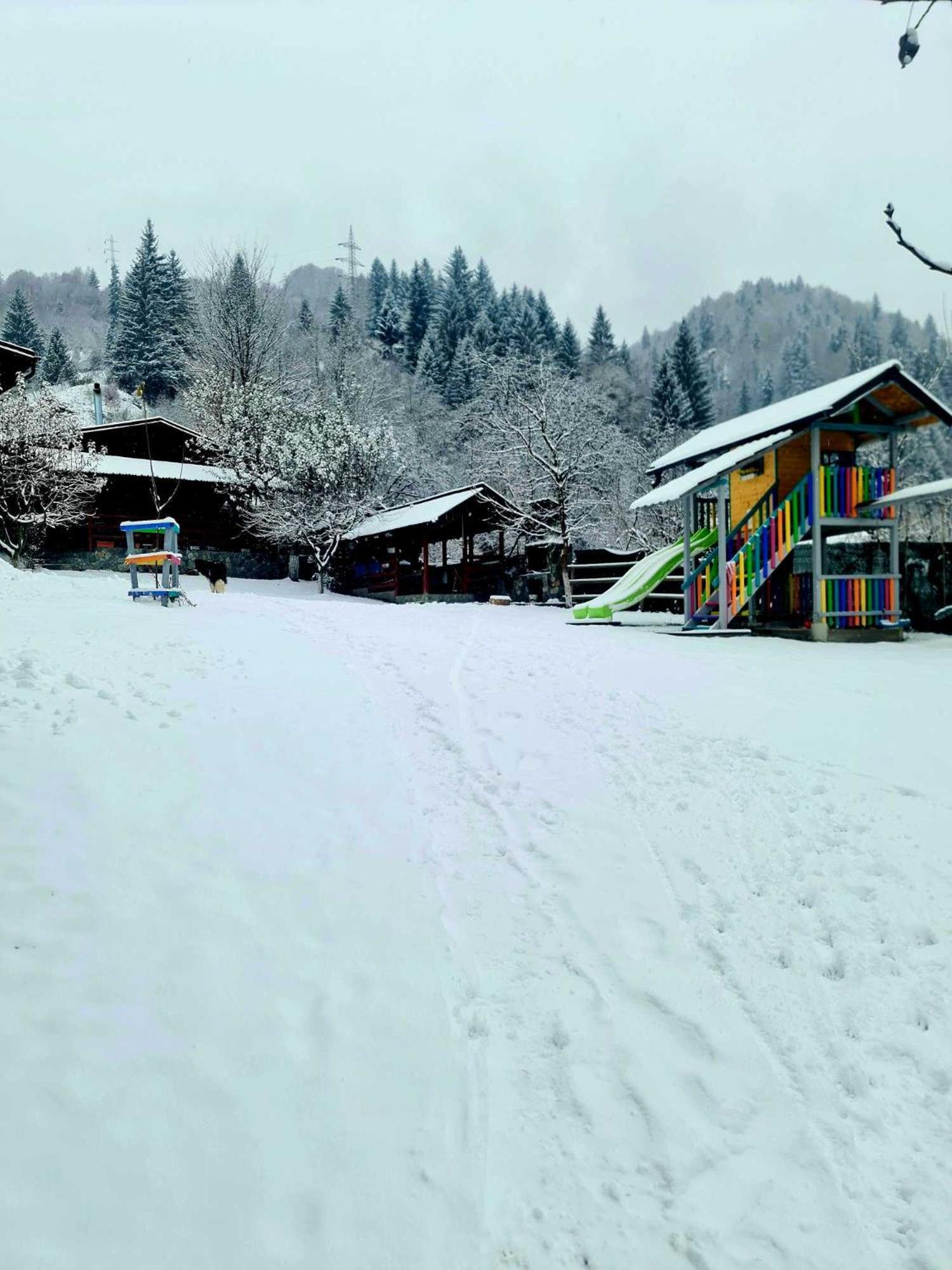 Vila Giulia วอยนาซา ภายนอก รูปภาพ