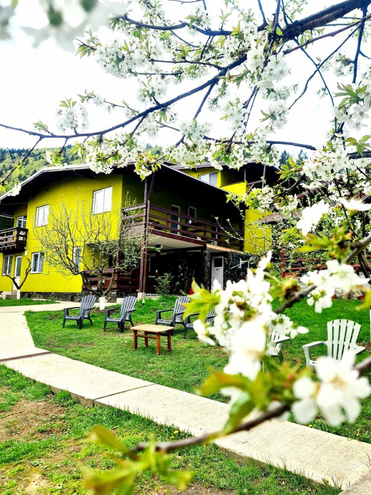 Vila Giulia วอยนาซา ภายนอก รูปภาพ
